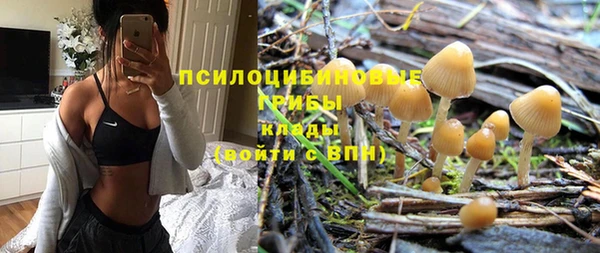 МДПВ Абдулино