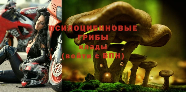 МДПВ Абдулино