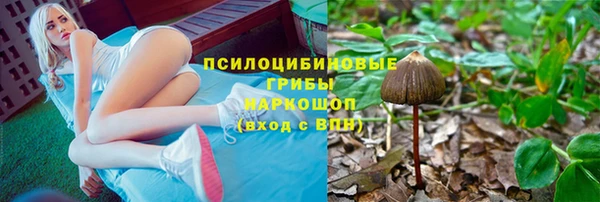 СК Алексин
