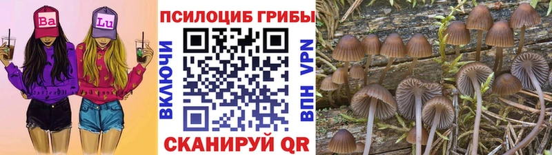 Галлюциногенные грибы Magic Shrooms  купить закладку  Нягань 